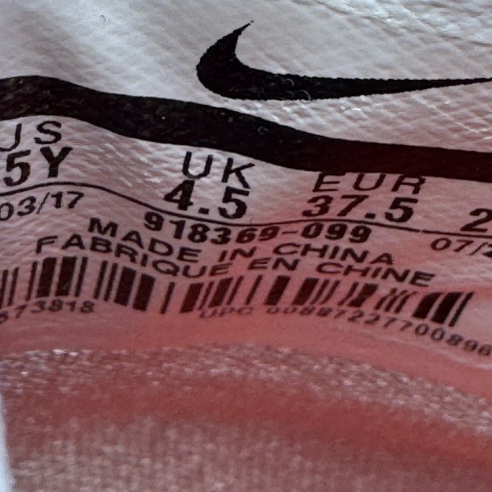 Nike LeBron james court shoes